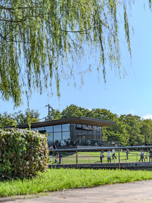 水と緑に癒される富山のオアシス🌿 富岩運河環水公園で過ごす静かな時間
