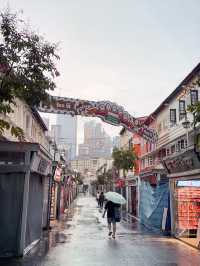 Survived (and Thrived) in Chinatown, Singapore!