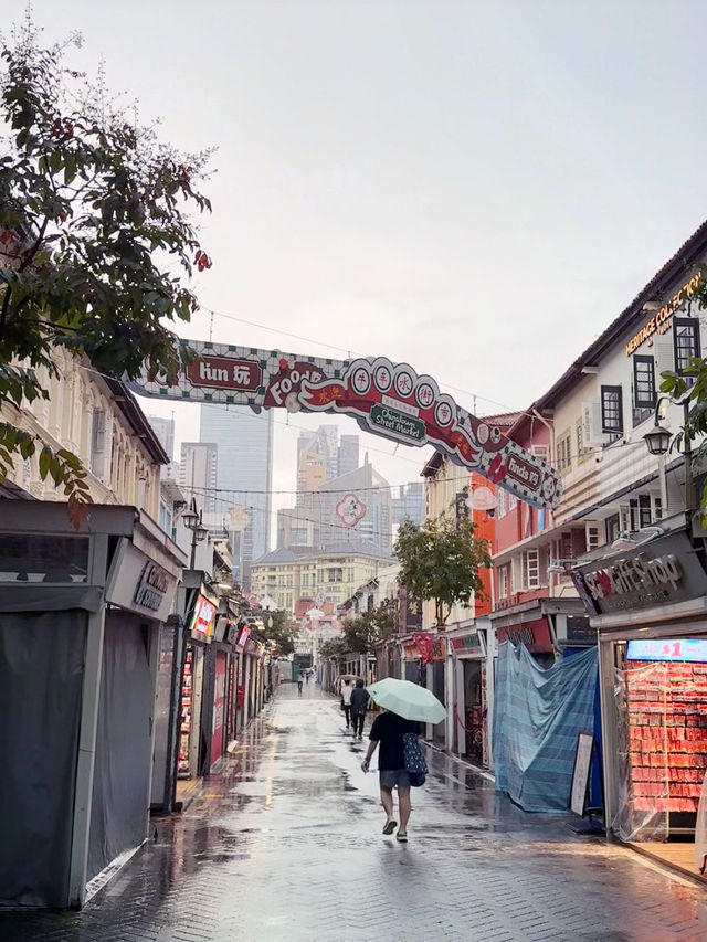 Survived (and Thrived) in Chinatown, Singapore!