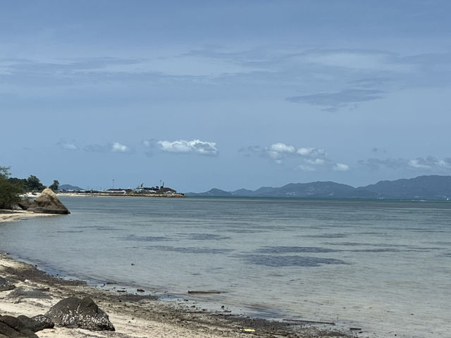 A beach with naked people!