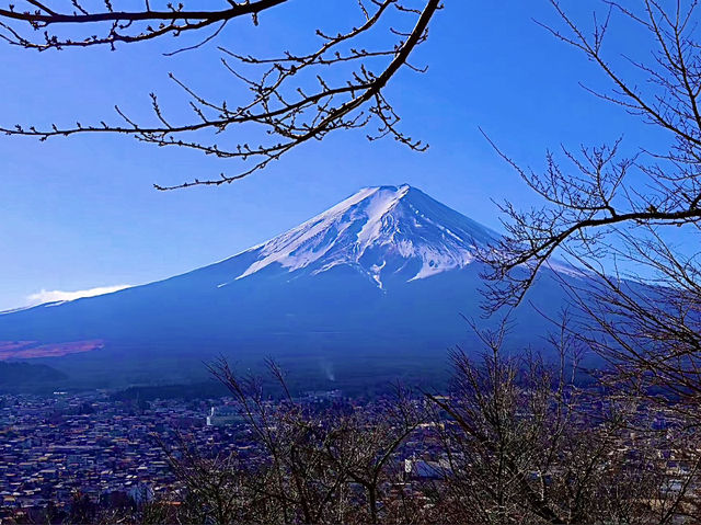 โอซาก้า🇯🇵