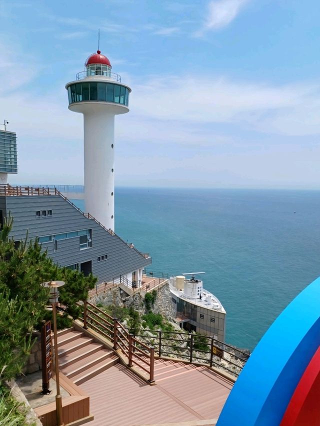 절벽과 바다가 만나는 태종대