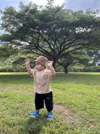 ลานจามจุรี บ่อแสน พังงา 🌳