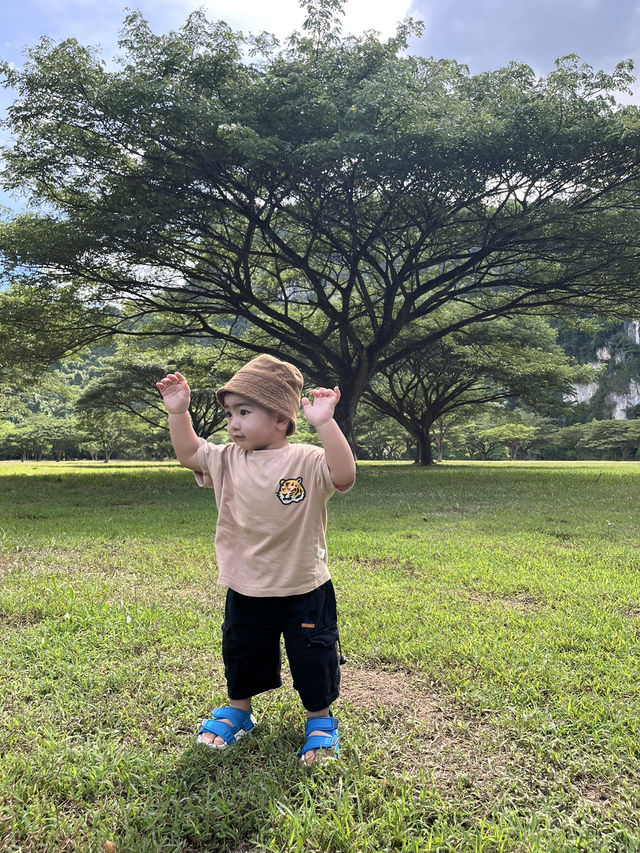 ลานจามจุรี บ่อแสน พังงา 🌳