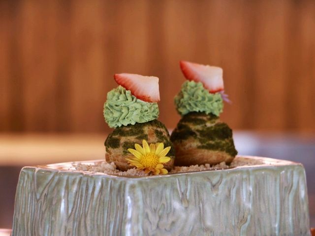SAFARI Matcha Bar Khaoyai 