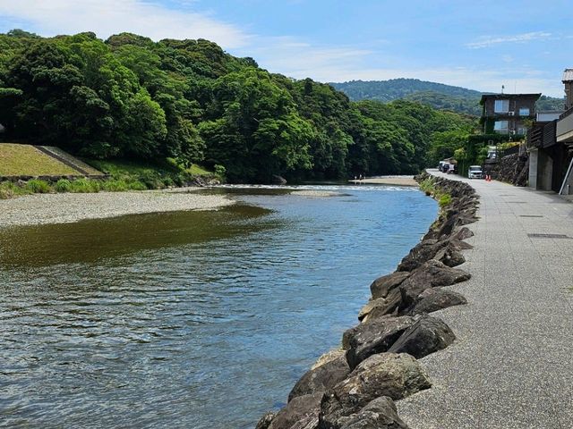 靜謐流轉的神河〔五十鈴川〕，伊勢的靈魂之水⛩️🌊