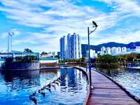 Nature preserve in Busan, South Korea