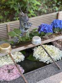 磯山神社あじさいと夏祓い