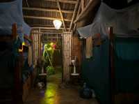 【ホイアン】under the coconut tree Hoi An