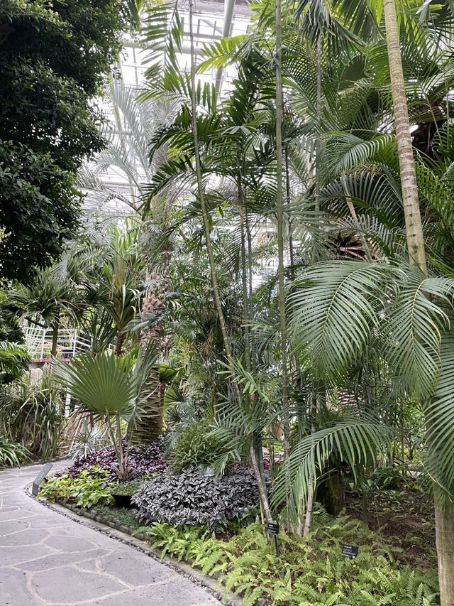 시원한 실내에서 이국적인 식물구경 어때요🌴