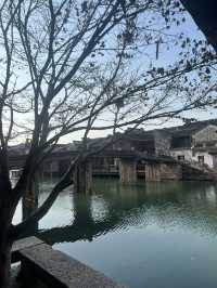 A peaceful morning in Wuzhen 