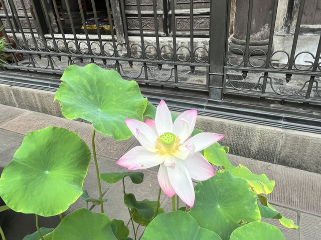 🕊️✨ Wenshu Monastery 文殊院 – A Peaceful & Instagrammable Escape in Chengdu