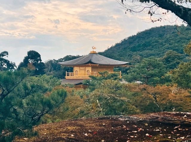 @ KINKAKU-JI IN KYOTO.