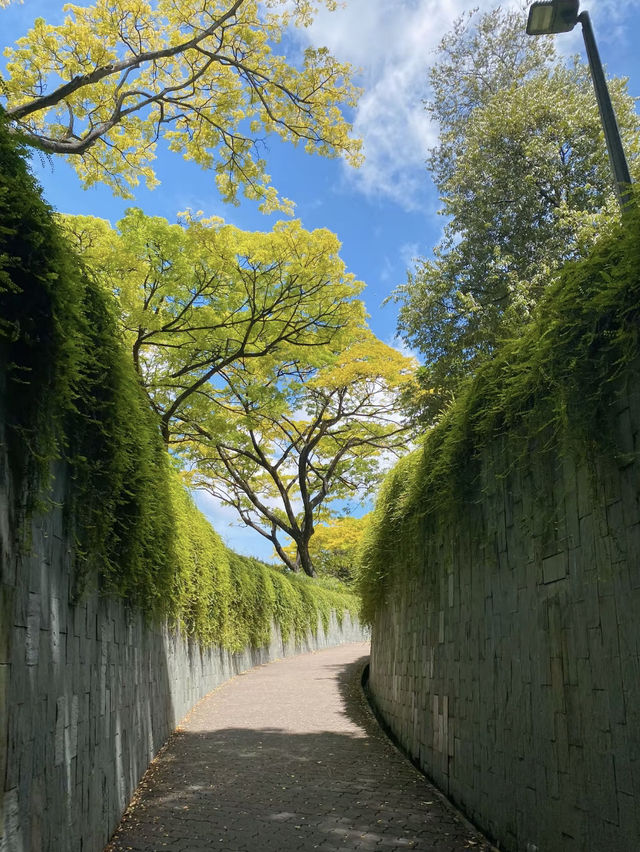 เดินเล่นในสวน Fort Canning สิงคโปร์🇸🇬