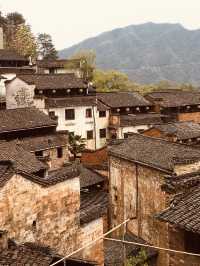 🌸 "From City Lights to Canola Nights: A Journey Through Nanchang & Wuyuan’s Dreamscape!"** 🌿