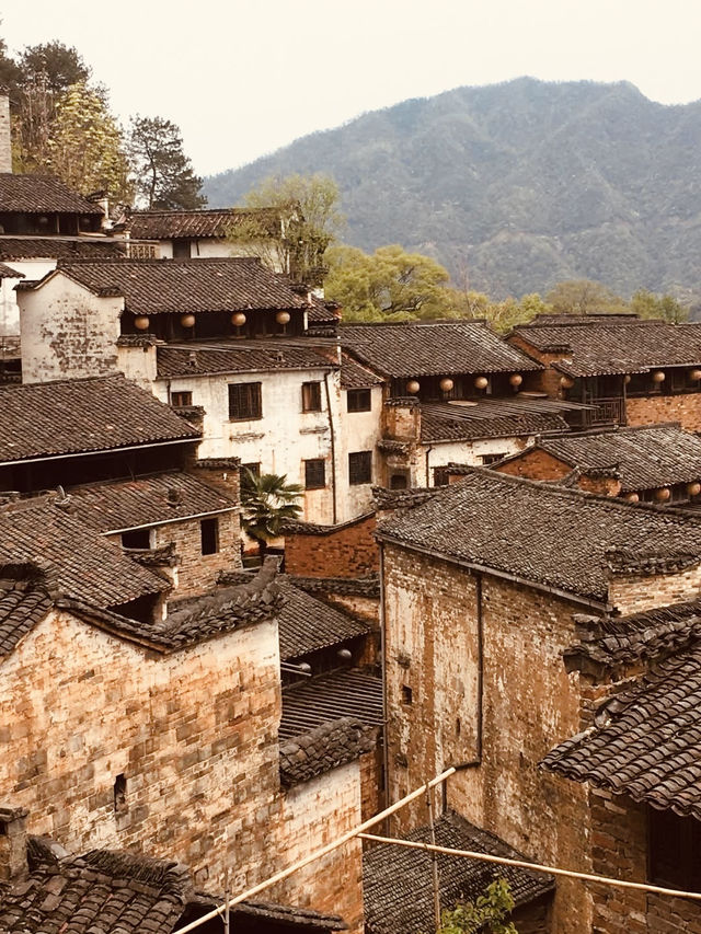 🌸 "From City Lights to Canola Nights: A Journey Through Nanchang & Wuyuan’s Dreamscape!"** 🌿
