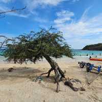 หาดนวล @เกาะล้าน 