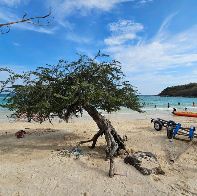 หาดนวล @เกาะล้าน 