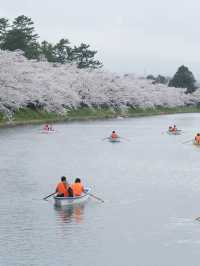  ปราสาทฮิโรซากิ 🌸 ปราสาทกลางซากุระแห่งโทโฮคุ