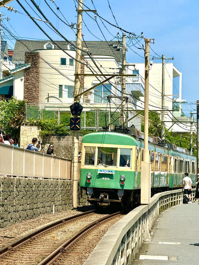 🏯⛩️ Kamakura Day Trip: Temples, Streets & Sea Breeze 🌸