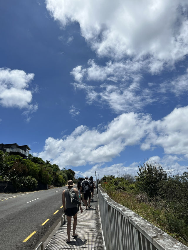 紐西蘭旅遊景點—🌊 Cathedral Cove｜自然雕刻的海上拱門美景 