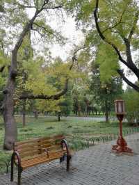 Clouds Over Heaven: A Quiet Summer Walk at the Hall of Prayer