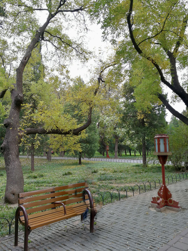 Clouds Over Heaven: A Quiet Summer Walk at the Hall of Prayer