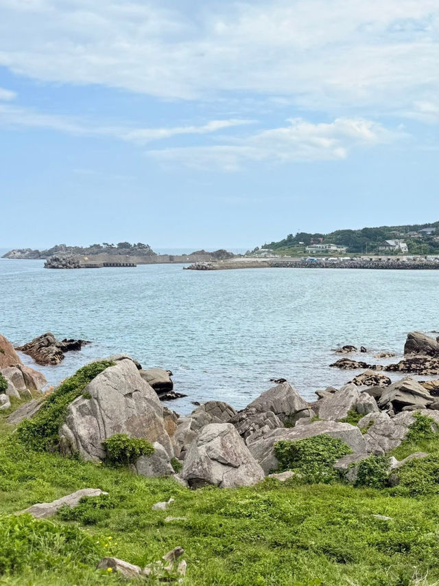Ocean & Meadows Unbound: A Summer Walk Along Tanesashi Coast