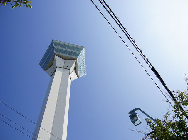 🌸 Walking Through History: A Peaceful Stroll at Goryōkaku Park