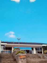 A Deep Dive into the Soul of Jeju's People and Culture