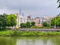 Paddles, Pulse, and Peace: Dragon Boating at Haizhu Lake