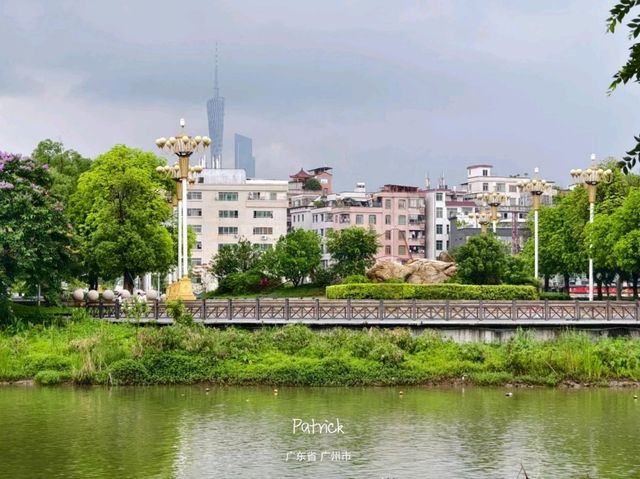 Paddles, Pulse, and Peace: Dragon Boating at Haizhu Lake