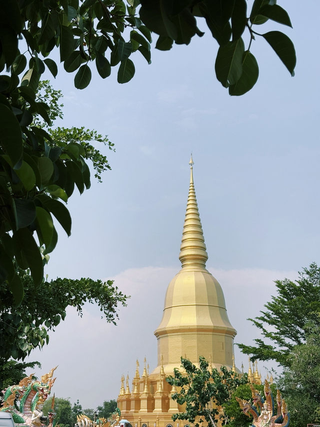 วัดป่าวังน้ำเย็น วัดสวยแห่งเมืองมหาสารคาม