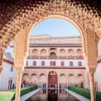【グラナダの必見スポット🇪🇸】アルハンブラ宮殿🏰
