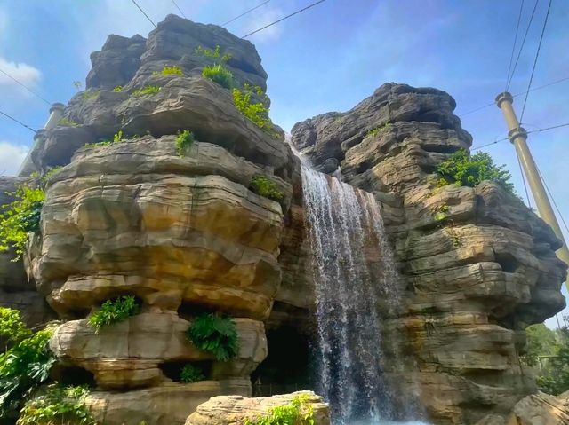 Splash into colors at Crimson Wetlands!