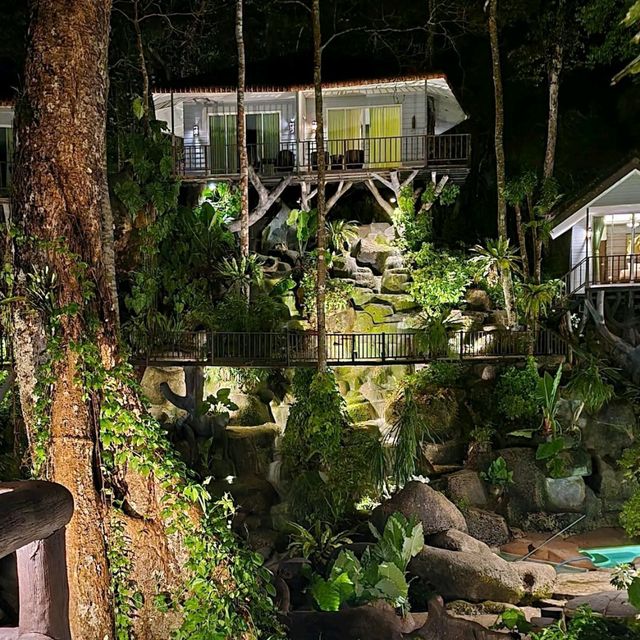 Living the Jungle Dream at Rock & Tree House Resort