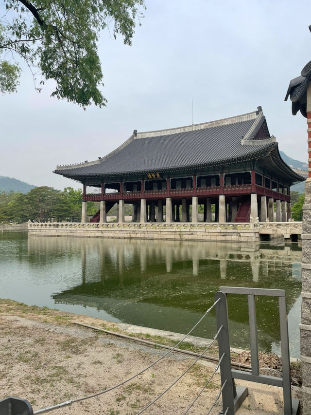 🇰🇷韓国行くなら絶対に行くべき景福宮