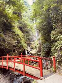 🌿 Solo Adventure: Shasui Falls – Tokyo’s Secret Waterfall Escape