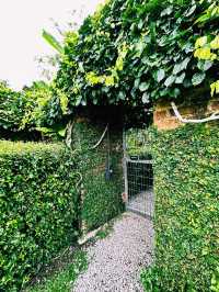 Urban Eden Escape – Kebun-Kebun Bangsar’s Hidden Charm