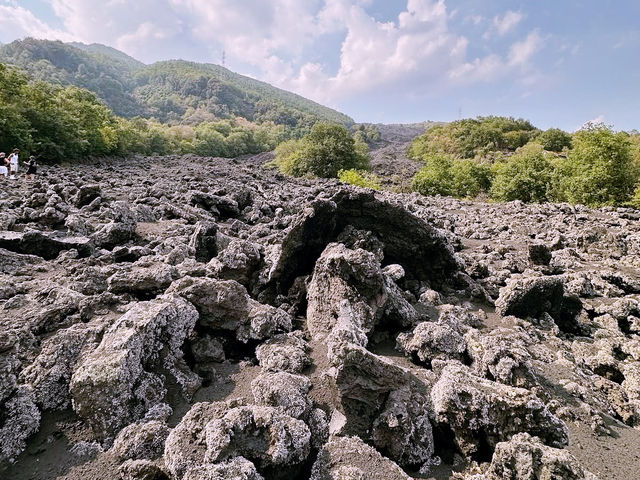 Solo Adventure: Exploring Mount Etna in Summer** 🌋✨ 