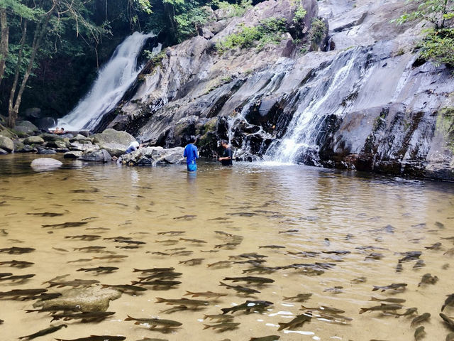 Ton Nga Chang Waterfall