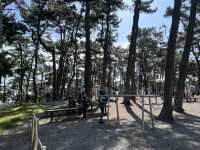 【韓国旅行】蔚山・大王岩公園