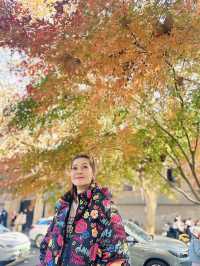 🌈….Anfu Road