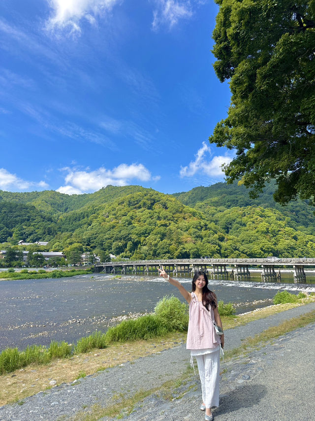 교토 당일치기 알짜배기 여행코스 🇯🇵🚌