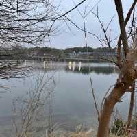 Lady Bird Lake & Hike–Bike Trail – Austin