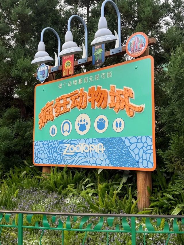 The Magic is Real: What Makes Shanghai Disneyland Unforgettable
