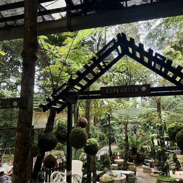 Forest Vibes & Highest-Perched Coffee – My Visit to Kopi Hutan, Penang