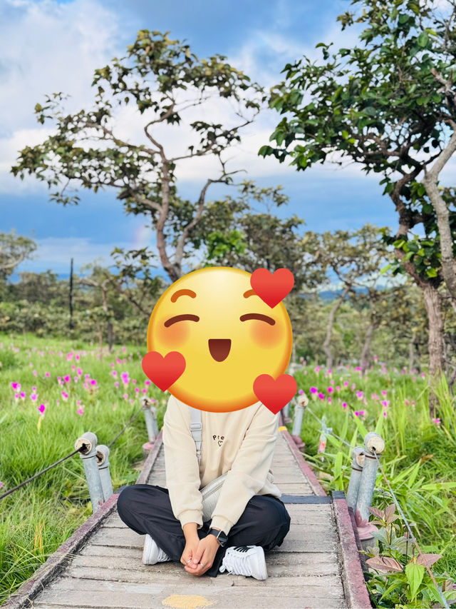 ดอกกระเจียวบาน 