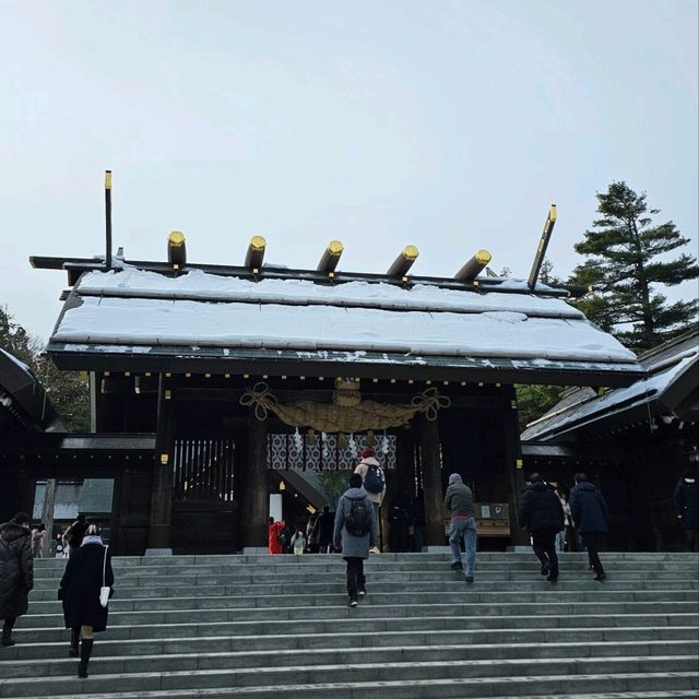 Sapporo in a Day: Culture, Cuisine & City Highlights