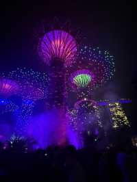 An Unforgettable Night at Supertree Grove 